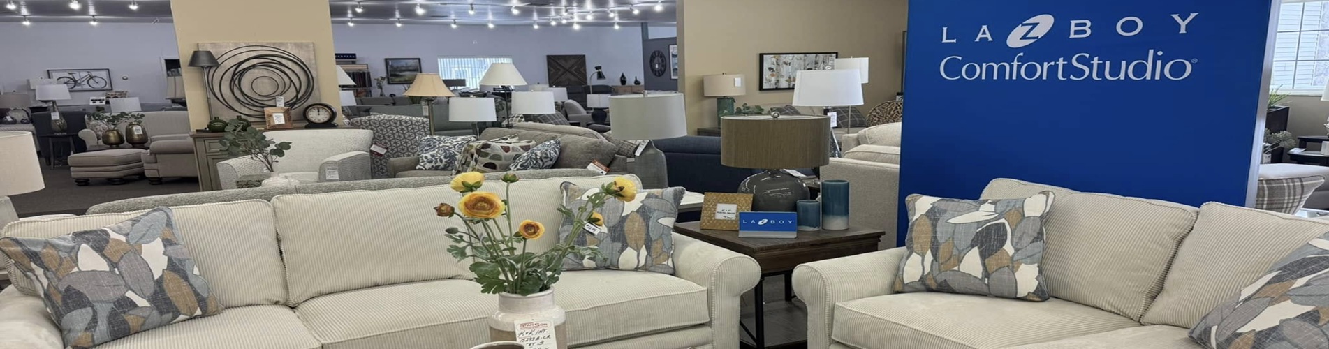 Lazyboy Banner Image29